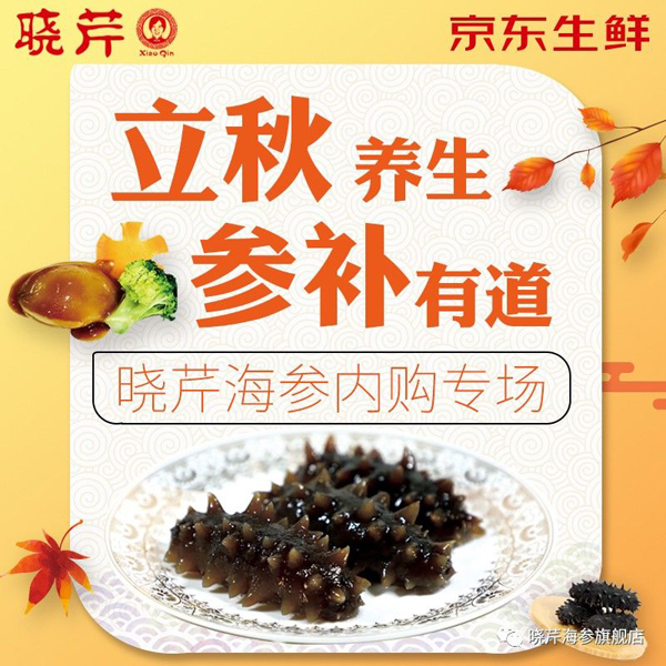 海參,曉芹海參,員工內(nèi)購,京東,大連海參,秋季滋補(bǔ),秋參
